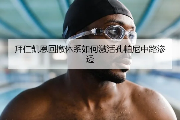 拜仁凯恩回撤体系如何激活孔帕尼中路渗透